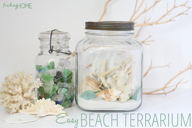 Easy Beach Terrarium