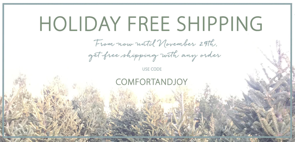 Free Shipping Holiday Promotion