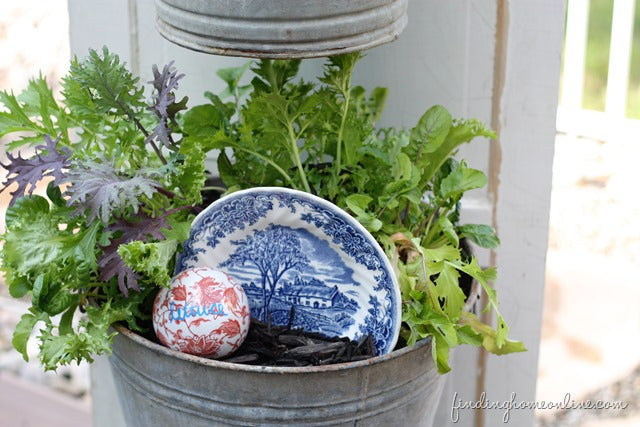 DIY Backyard Kitchen Herb Garden