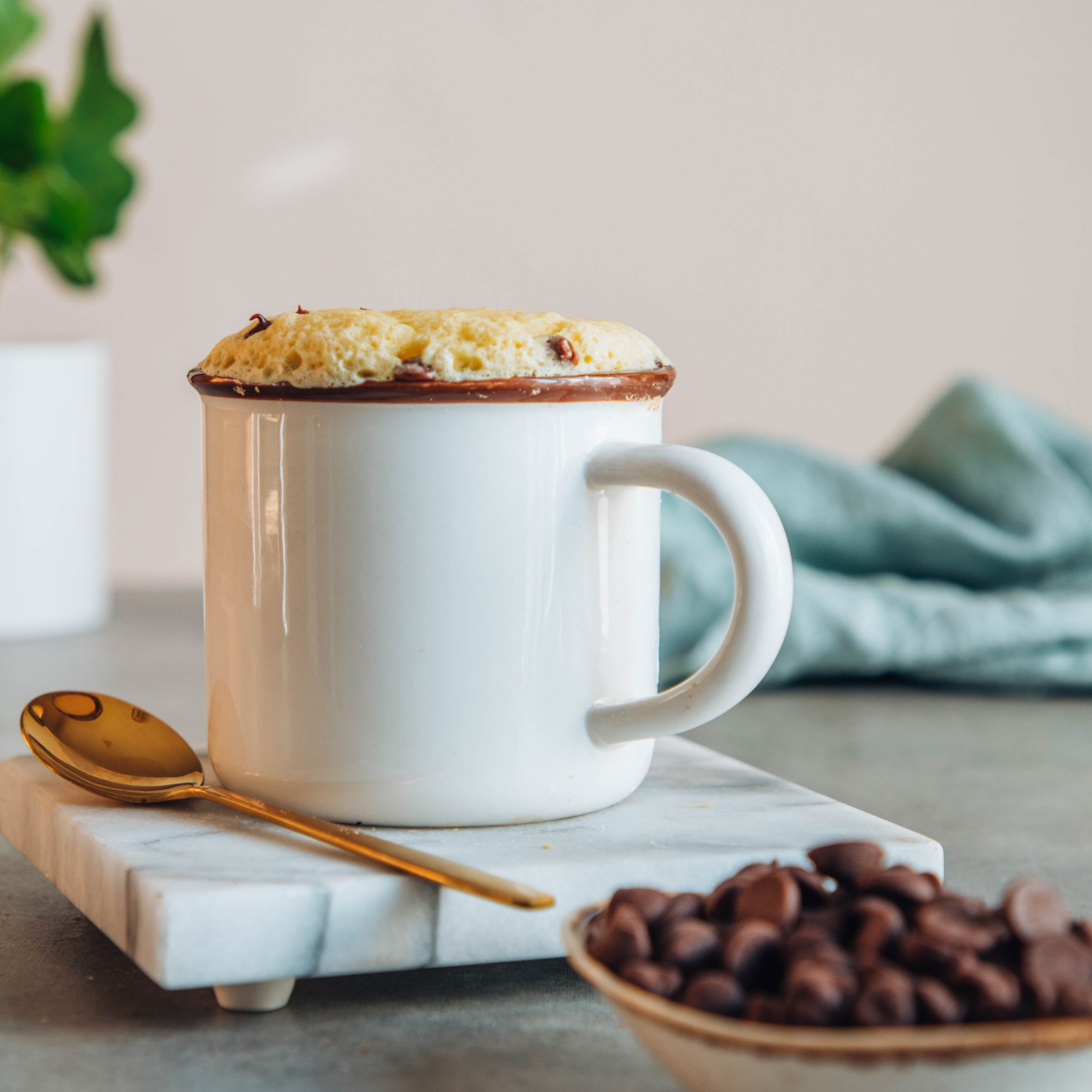 Easy Chocolate Chip Mug Cake | Finding Home Farms
