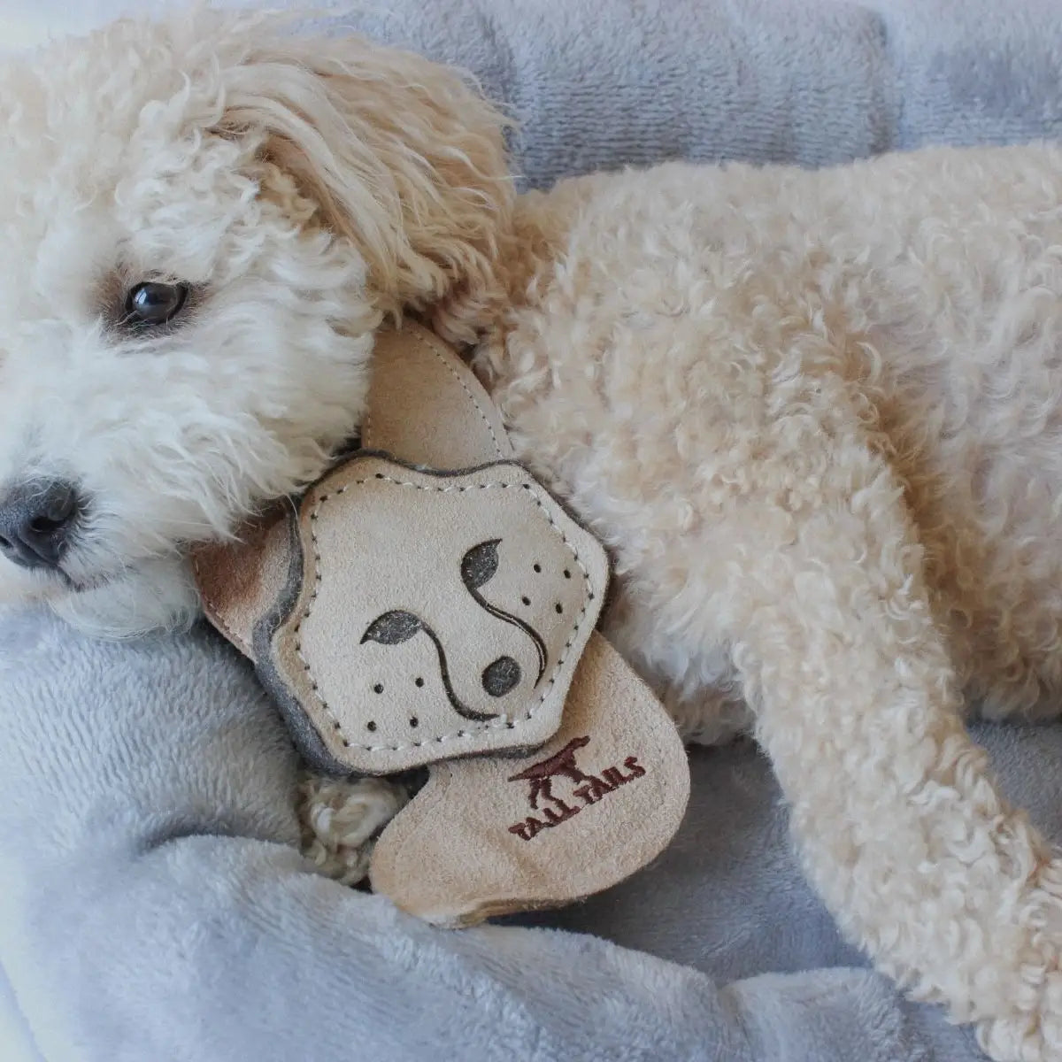 For the Pets | Buy Best Pet Care Products