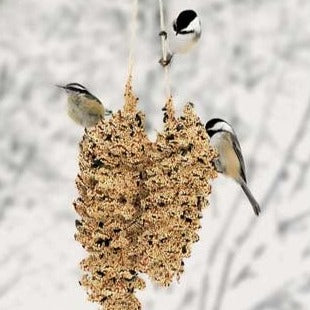 Pinecone Pair Bird Seed Ornament